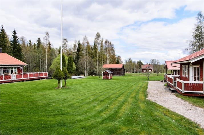 Tomten & trädgården